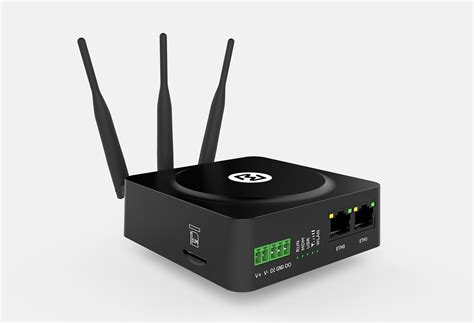 vpn router or software